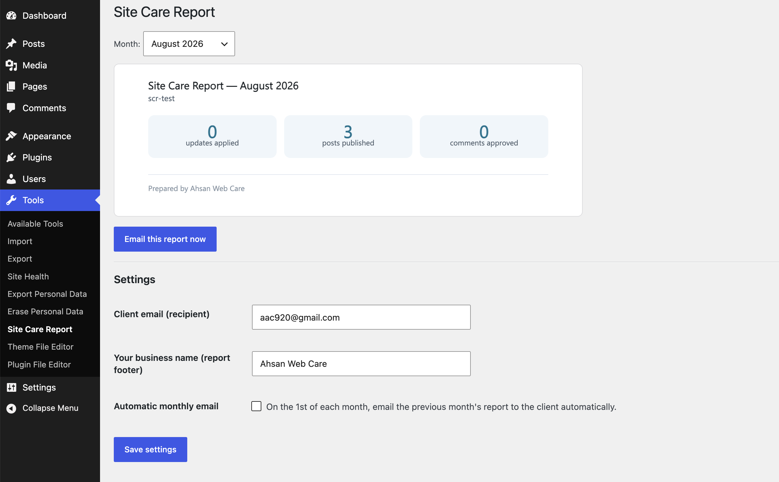 The monthly report inside WordPress